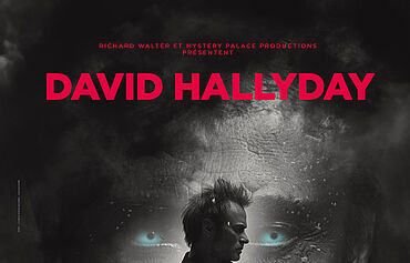 DAVID HALLYDAY - REQUIEM POUR UN FOU